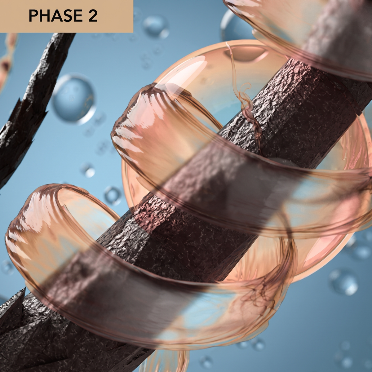 Phase 2 — protective layer around the skin