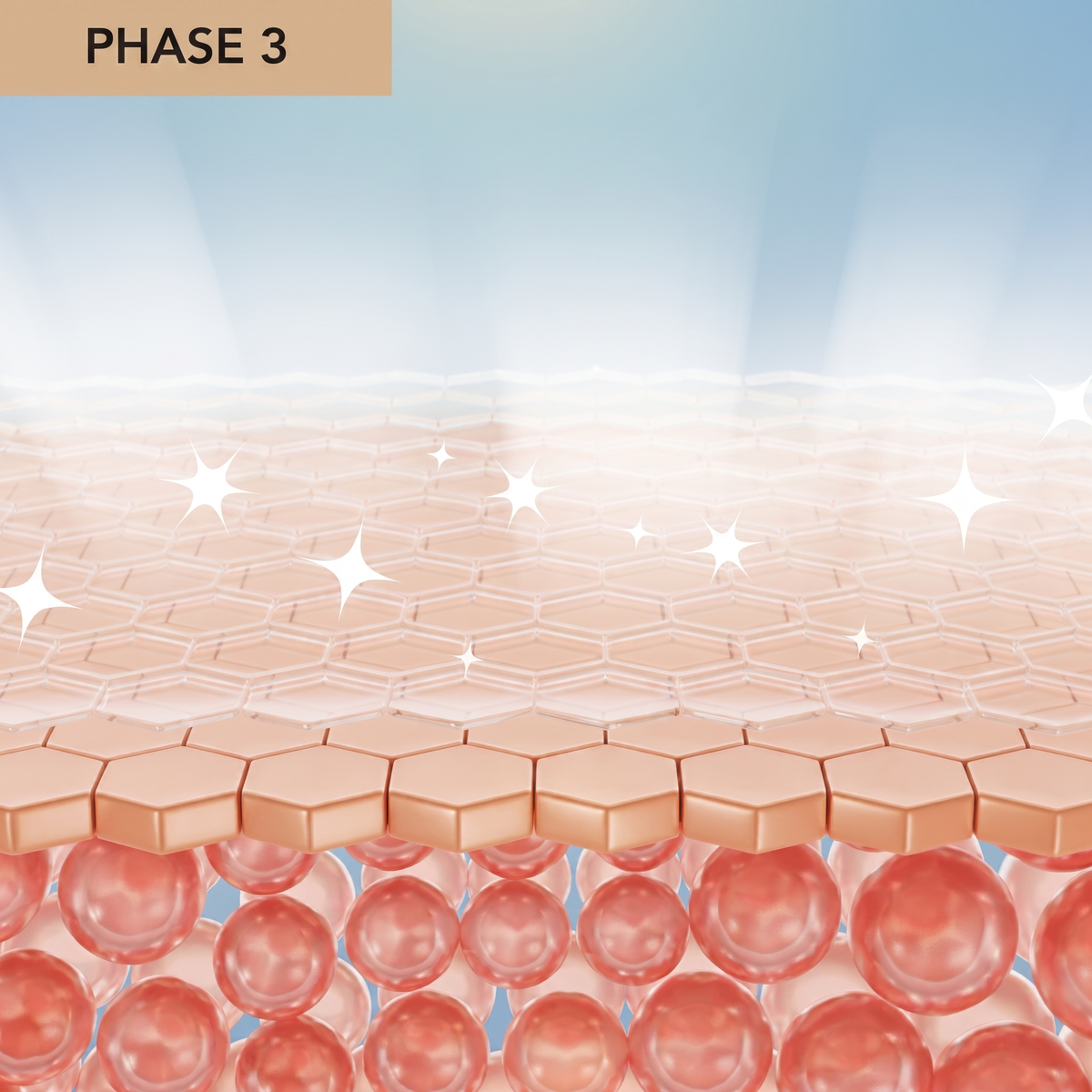 Phase 3 — nourished, smooth skin layers