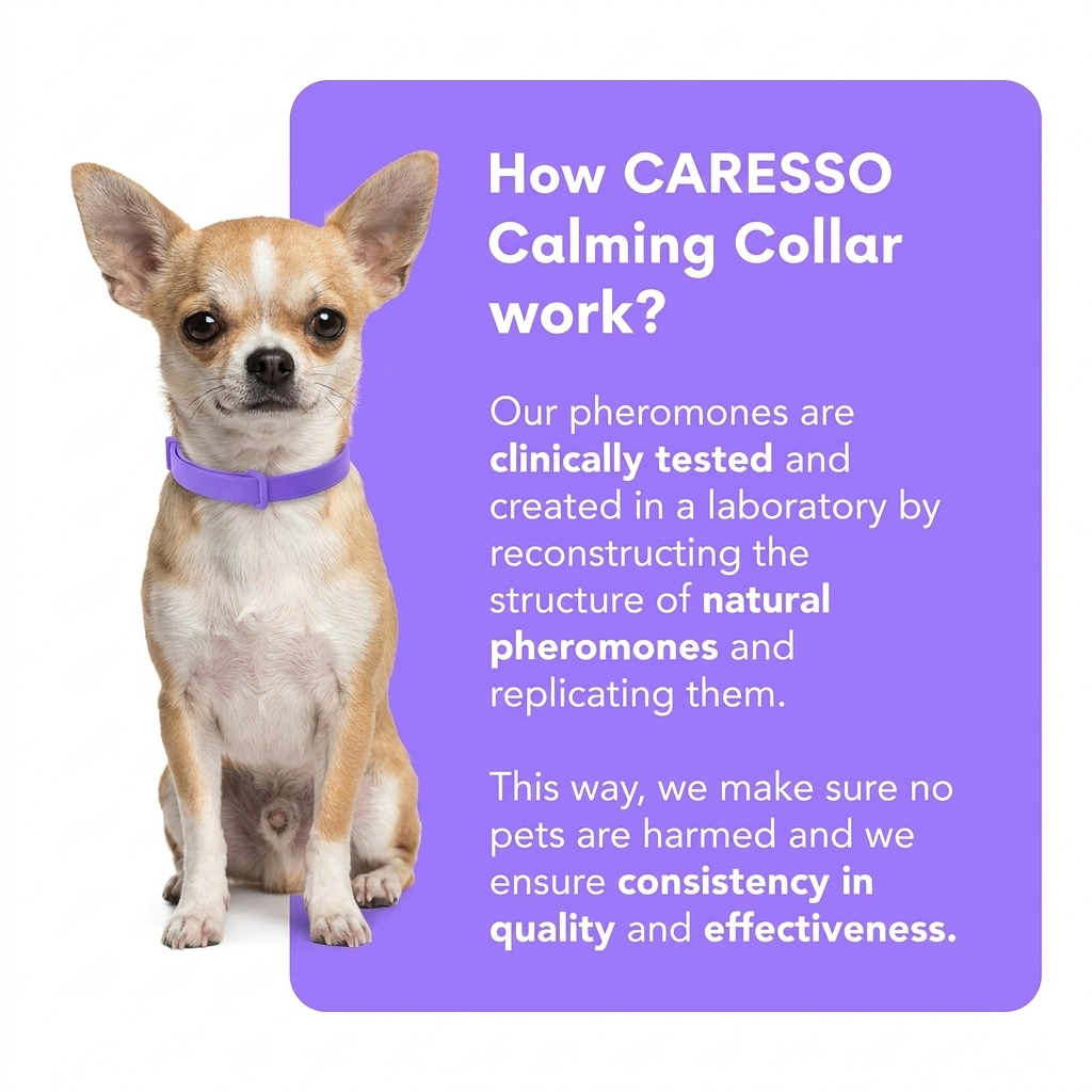 Dog Calming Collar