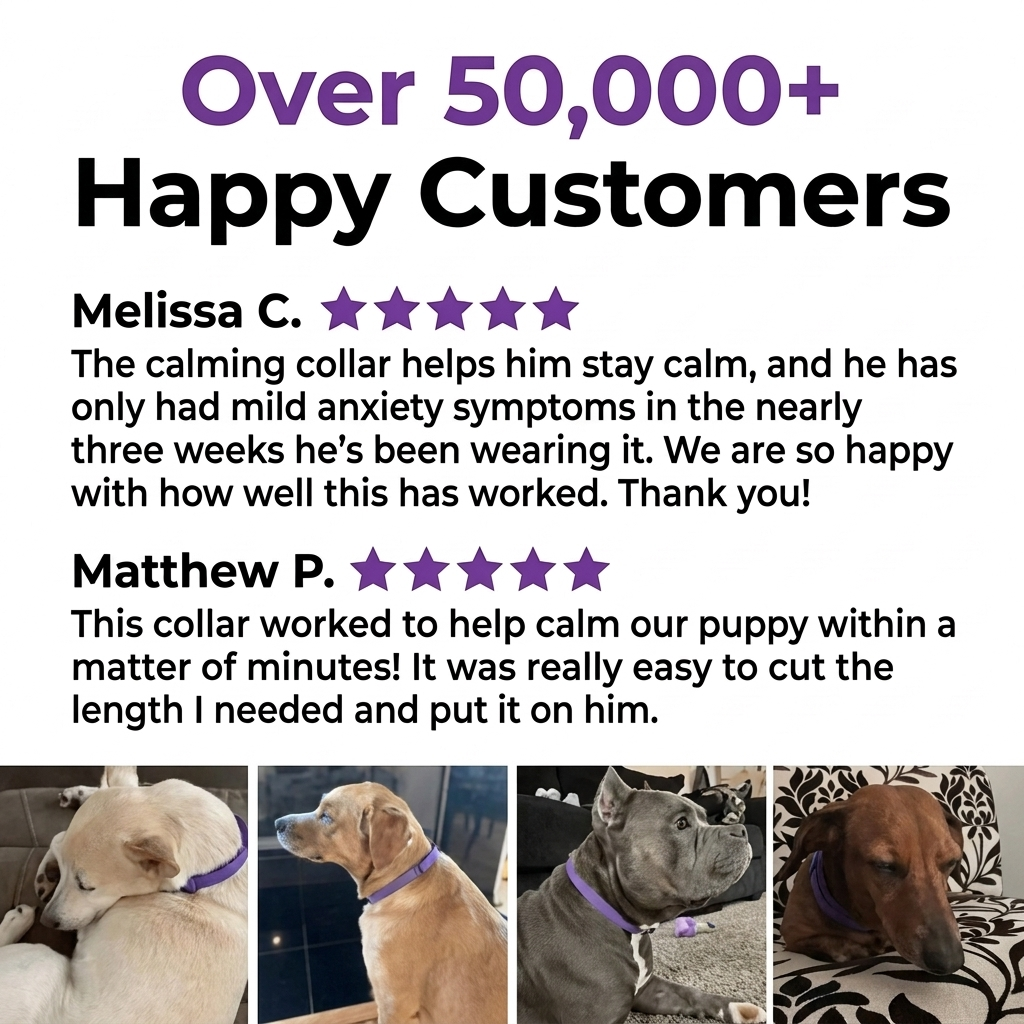 Dog Calming Collar